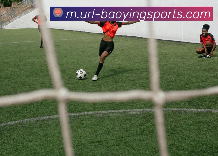 App Interface Preview